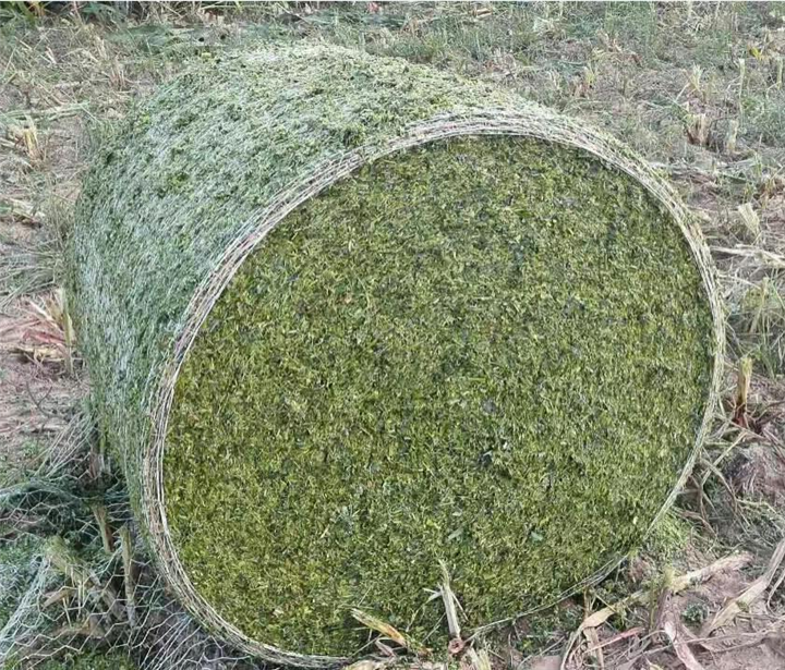 养殖场青贮饲料生产技术导则