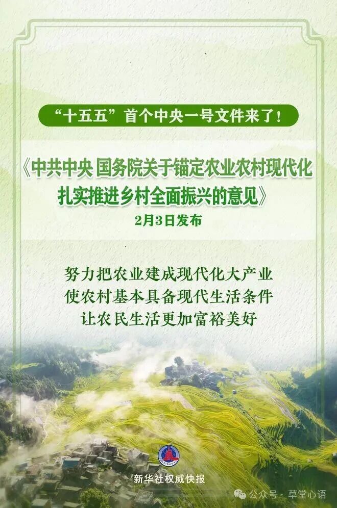 2026年中央1号文件：支持青贮玉米、苜蓿等饲草料生产 促进草原畜牧业转型升级